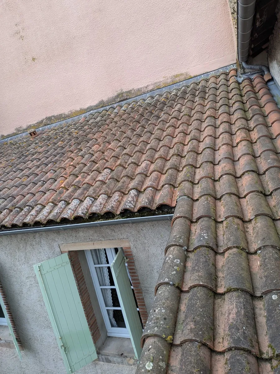 Chantier n°4 : la toiture après notre intervention