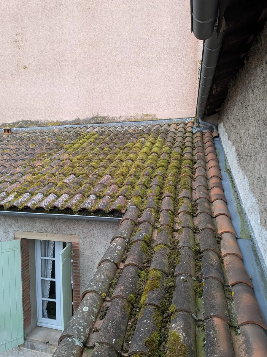 Chantier n°4 : la toiture avant notre intervention